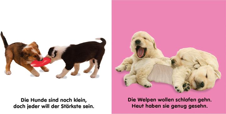 Produktbild Hunde (Deutsch)