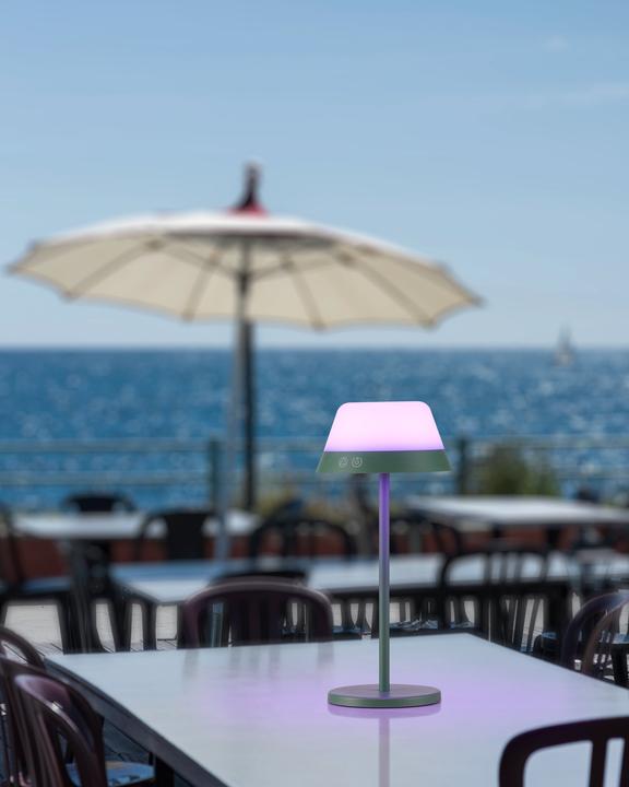 Immagine prodotto EGLO Luci Lampada da tavolo ricaricabile MEGGIANO 1.5W, 32 cm, verde, dimmerabile (170 lm)