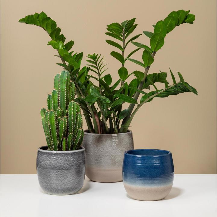 Produktbild Scheurich Blumentopf (21 x 20 cm)