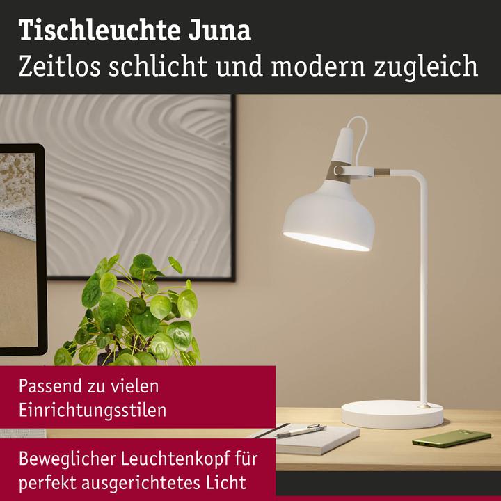 Image du produit Paulmann Juna (E14)