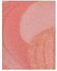 Produktbild Sisley Palette Orchidee (Corail)