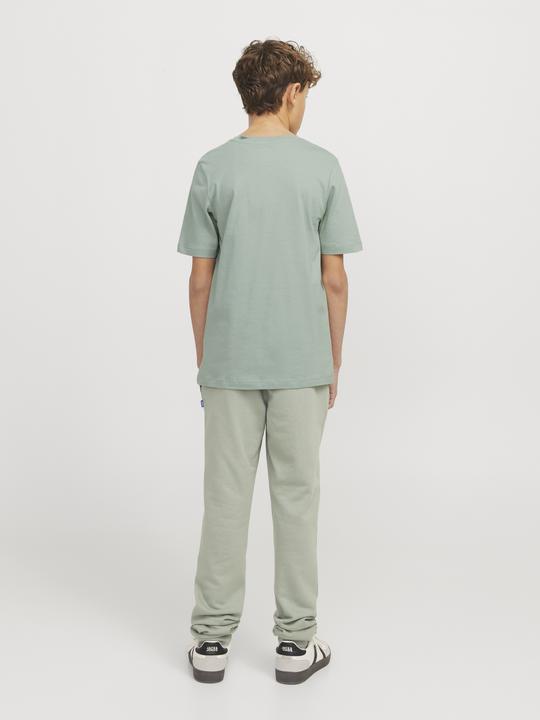 Produktbild Jack & Jones JJELOGO TEE SS ONECK 2COL 24/25 NOOS JNR (164)