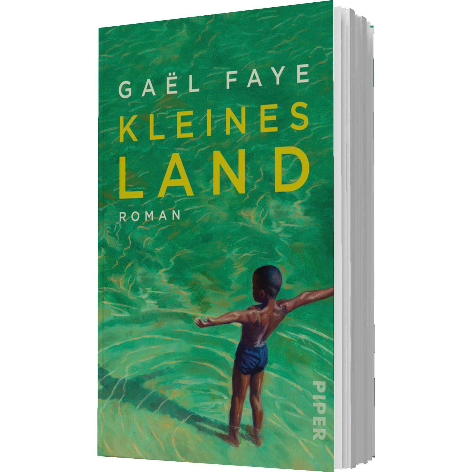 Kleines Land, Belletristik von Gaël Faye, Andrea Alvermann, Brigitte Grosse