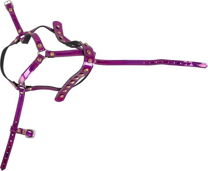 Actual product image Bad Kitty Head harness