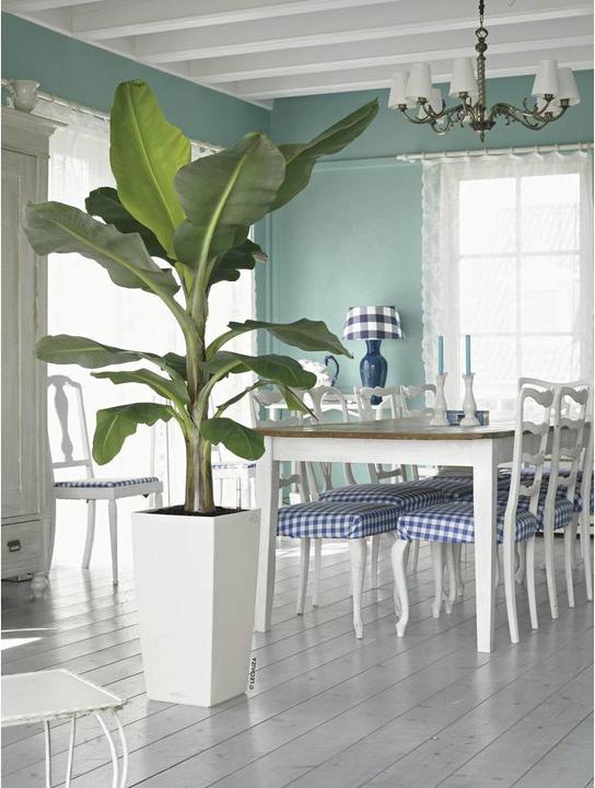 Produktbild Lechuza Cubico Color (29.50 cm)