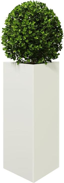 Produktbild vidaXL Pflanzkübel