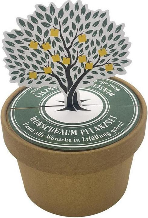 Produktbild Wunderle Wundertüte Wunschbaum Pott (Geschenkbox, 1 x)