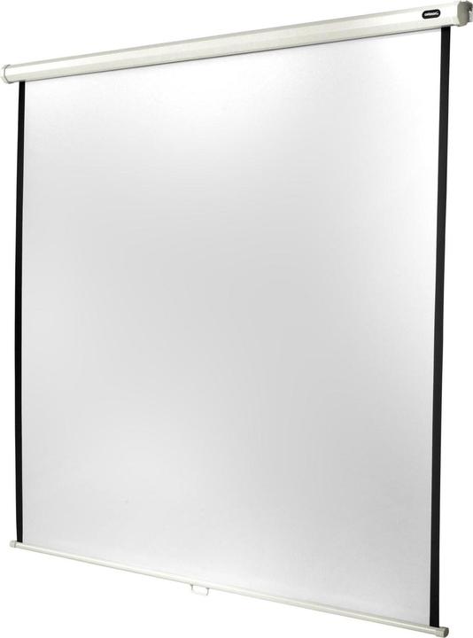 Actual product image Celexon Roller blind economy (111", 1:1)