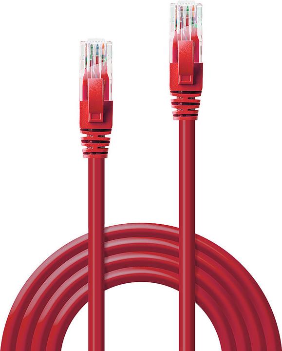 Actual product image Lindy Network cable (U/UTP, CAT6, 3 m)