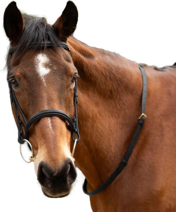 Produktbild Hy Nackenriemen Pferde Leder