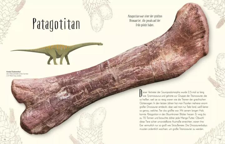 Actual product image Wundervolle Welt der Dinosaurier und der Urzeit (German, Anusuya Chinsamy-Turan, 2022)