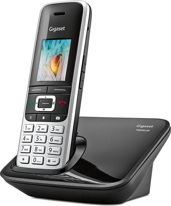 Actual product image Gigaset Premium 100