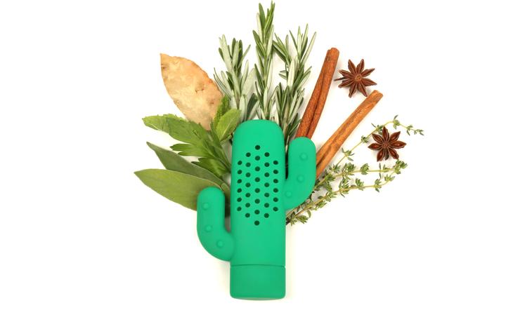 Immagine prodotto Kikkerland Cactus