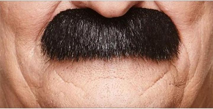 Produktbild Metamorph Walross Schnurrbart