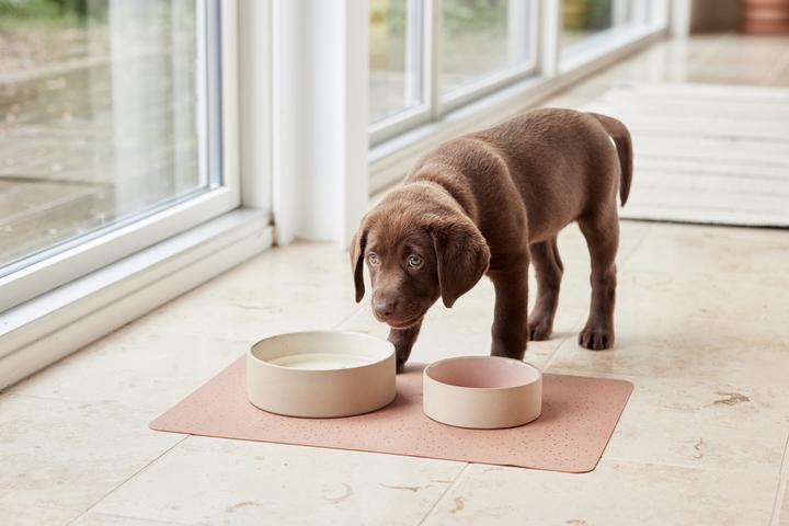 Actual product image Oyoy ZOO - Koko Dog Bowl Mat - Brown (Z60000)