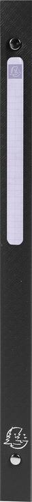 Actual product image Exacompta Ring binders (A4, 20 mm, 1 pcs.)