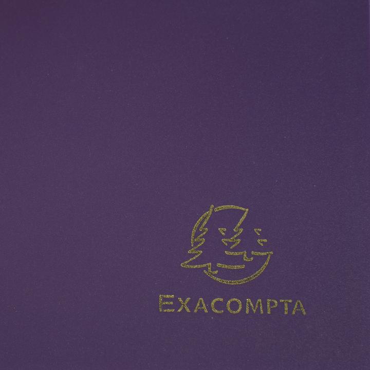 Produktbild Exacompta UNI Mappe A4 (A4, 1x)