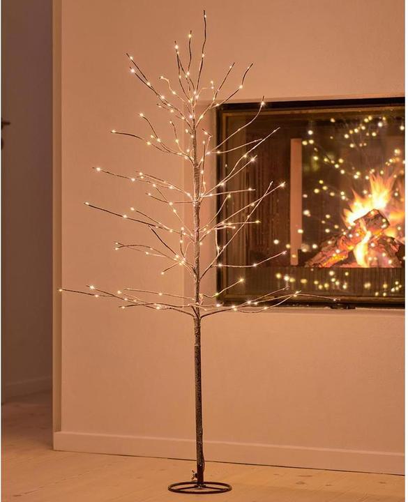 Actual product image Sirius Kira