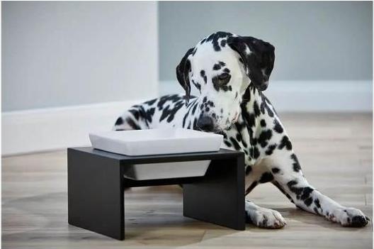 Image du produit Wolters Station d'alimentation pour chien Meshidai Single Bowl (2.50 l)