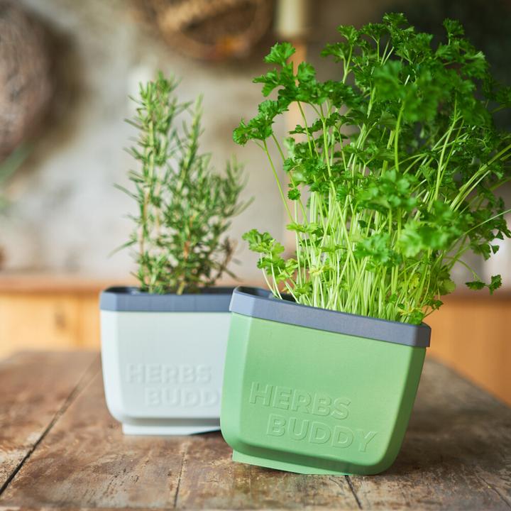 Actual product image Gusta Garden Herbs Buddy (16 x 14 x 13 cm)