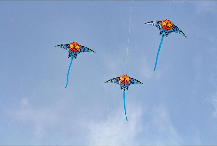 Produktbild Invento Manta Kite