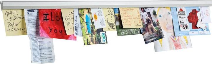 Actual product image Magnetoplan Catch-Ball clamping rail