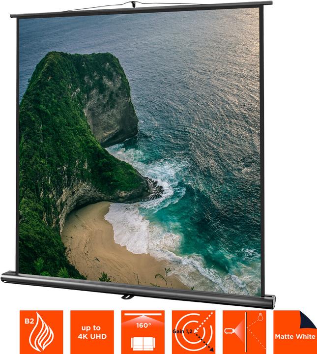 Produktbild Celexon Ultramobil Professional (98", 1:1)