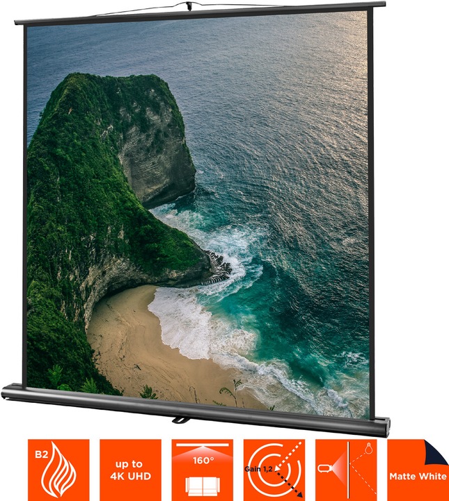 Actual product image Celexon Ultramobile Professional (98", 1:1)