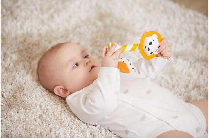 Actual product image Tiny Love Leonardo