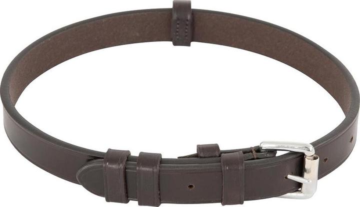 Produktbild BR Equestrian Equipment Kinnschutzriemen für Pferde mit Schnalle