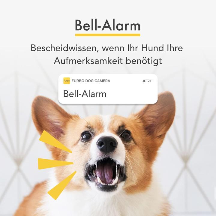 Immagine prodotto Furbo Telecamera per cani