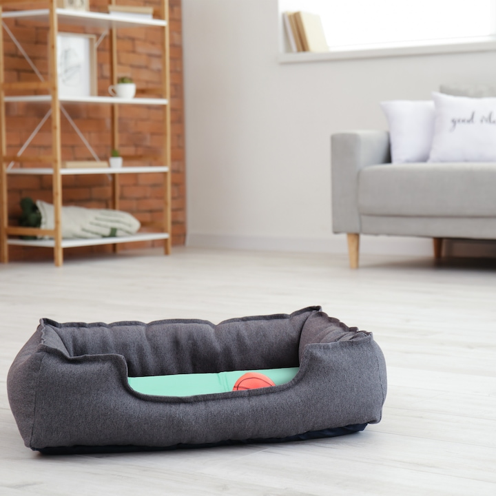 Immagine prodotto Relaxdays Tappetino refrigerante, cane (Cane)