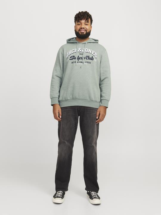 Produktbild Jack & Jones JJELOGO SWEAT HOOD 2 COL 24/25 NOOS PLS (6XL)