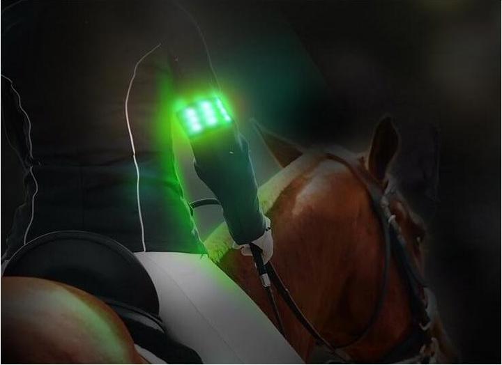 Produktbild Animal Light LED Armbinde