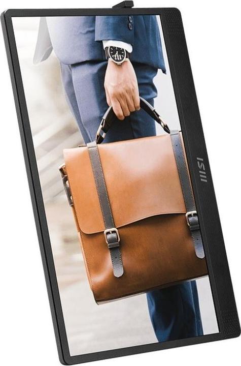 Image du produit MSI 16" PRO MP161 E2U - Moniteur LED - Full HD (1080p) - 16 (1920 x 1080 pixels, 15.60")