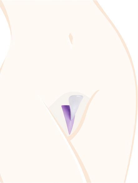 Produktbild Ladyshape Triangle (One Size)