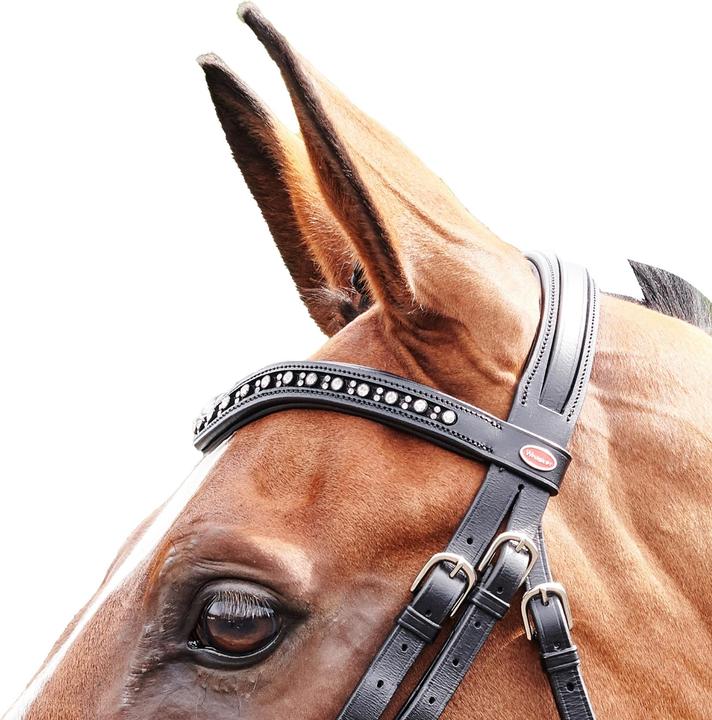 Produktbild FlashZaumzeug Lynton Leder