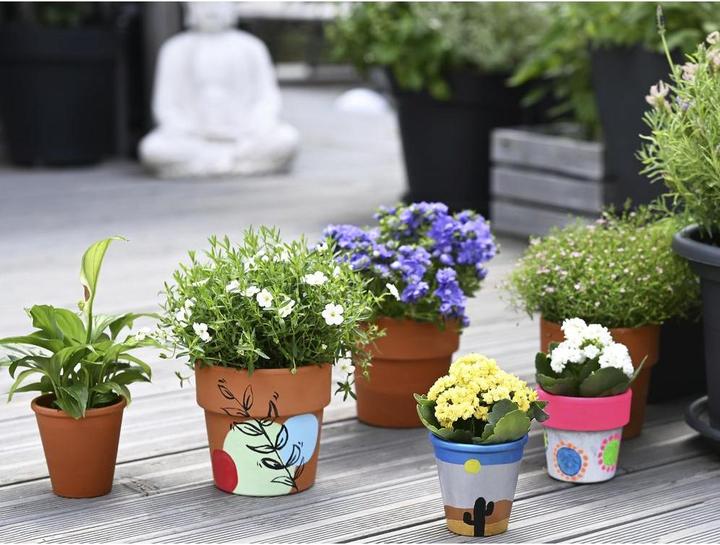 Produktbild EberhardFaber Temperafarben 6 x 25 ml, Set Basic (25 ml)