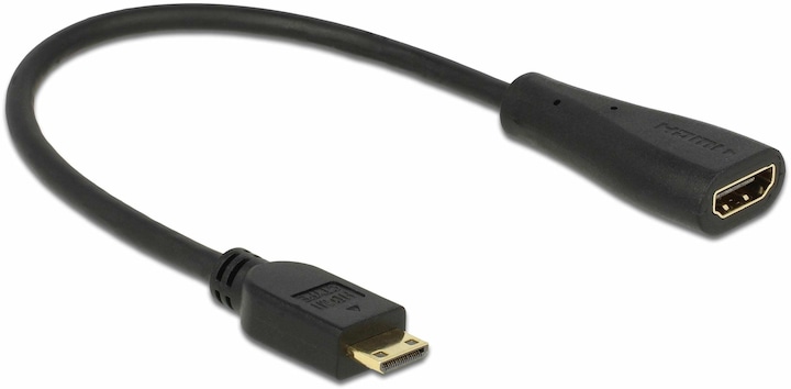 Immagine prodotto Delock Mini HDMI zu HDMI (0.20 m, HDMI)