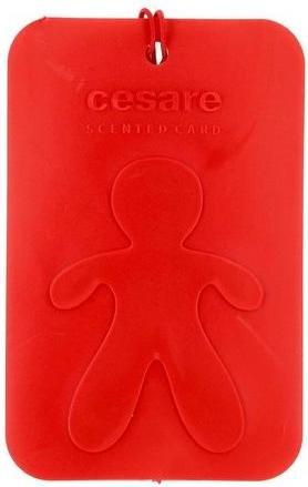 Image du produit Mr & Mrs Fragrance Scented Card Pefferminz