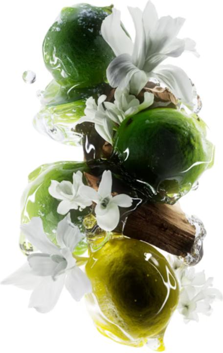 Image du produit L'Oréal Professionnel Métal DX (Kit de soins capillaires)