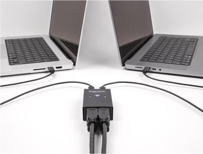Image du produit Delock Switch USB 2.0 pour 2 PC vers 4 appareils