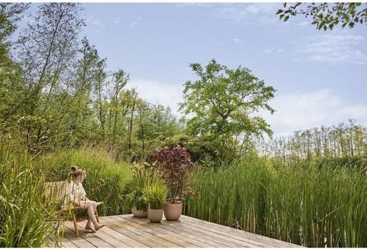 Actual product image Elho Sereh Rund (47 cm)