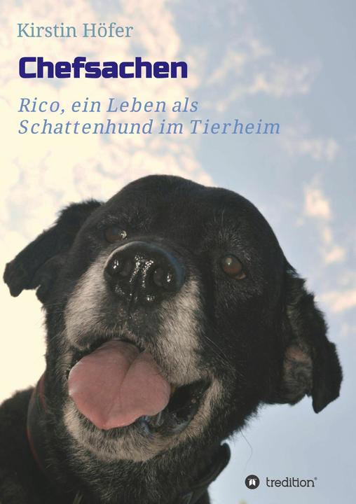 Produktbild Chefsachen (Deutsch, Kirstin Höfer, 2016)