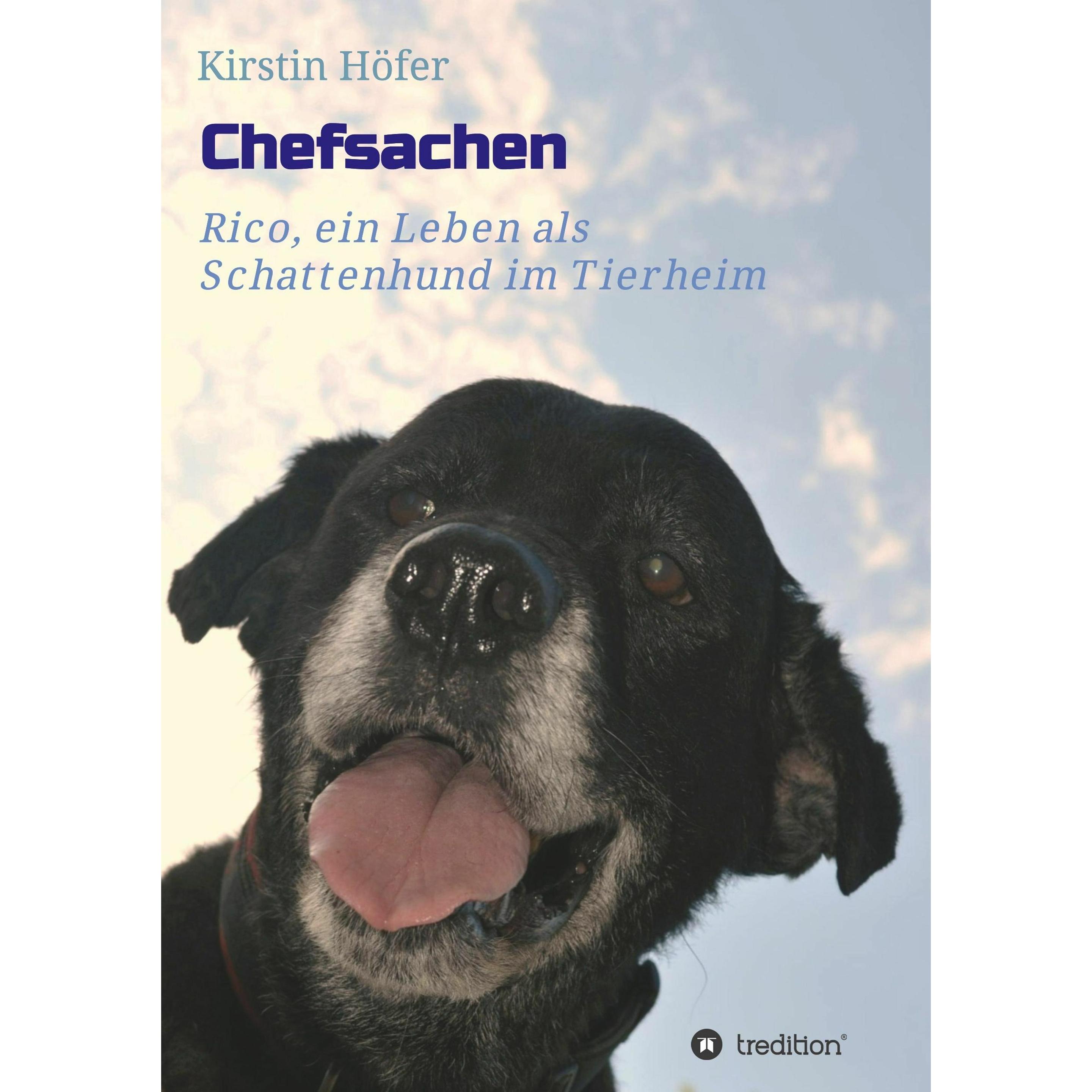 Chefsachen, Belletristik von Kirstin Höfer