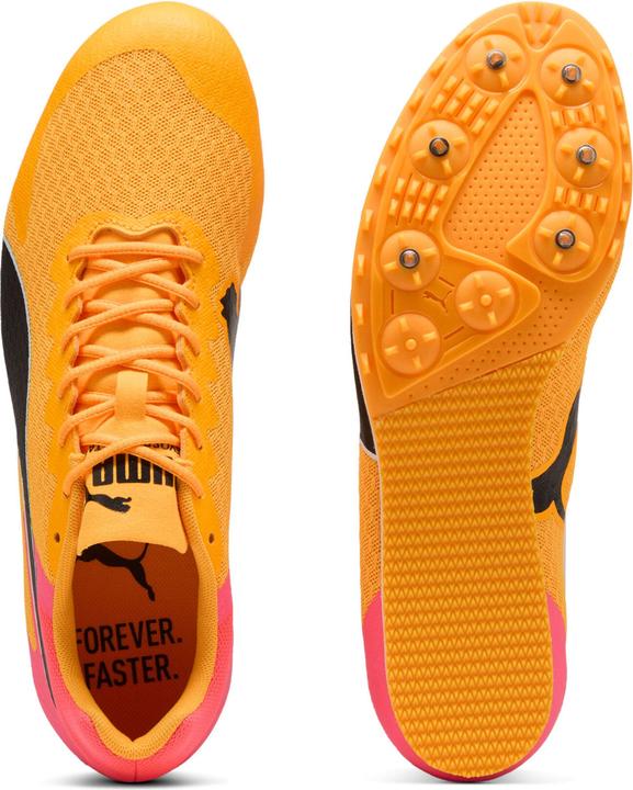 Produktbild Puma evoSPEED Star 9 (44)