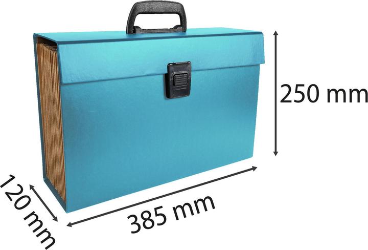 Produktbild Exacompta Fächermappen (A4, 32x)