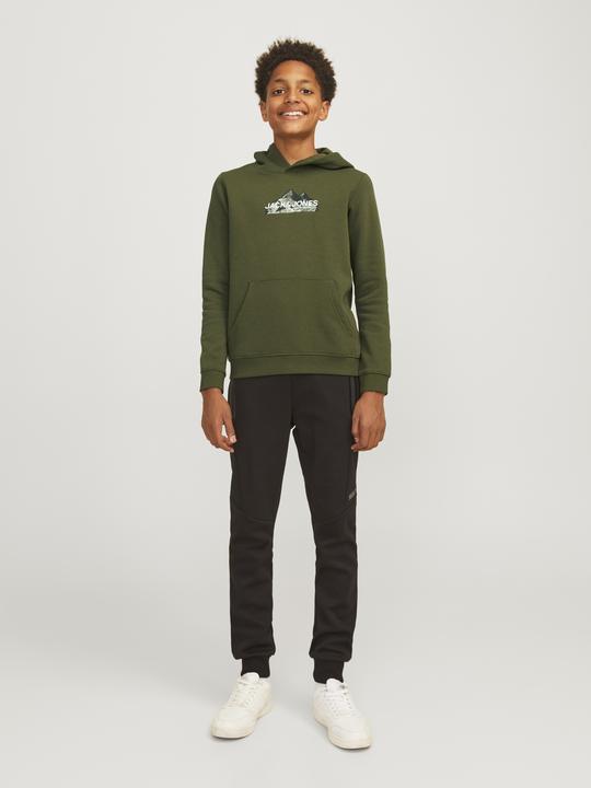 Actual product image Jack & Jones Jcomountain Logo Sweat Hood Sn Mni (98)