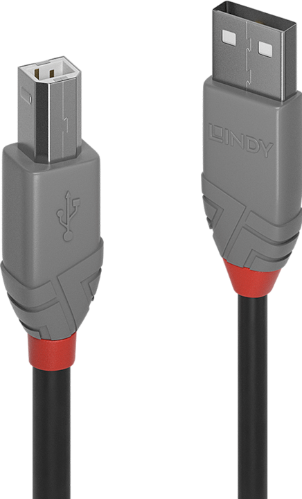 Actual product image Lindy USB/A-USB/B M-M (2 m, USB 2.0)