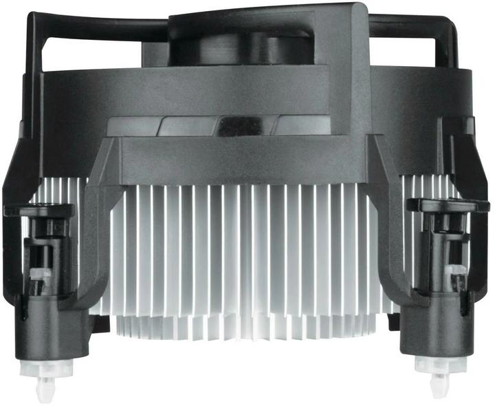 Productafbeelding Arctic Alpine 17 CO (77 mm)